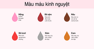 Period Blood Color Chart: Black, Brown, Bright Red, and More