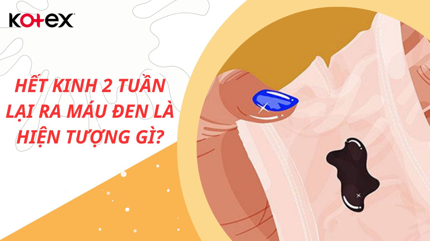 6. Câu Hỏi Thường Gặp (FAQ)