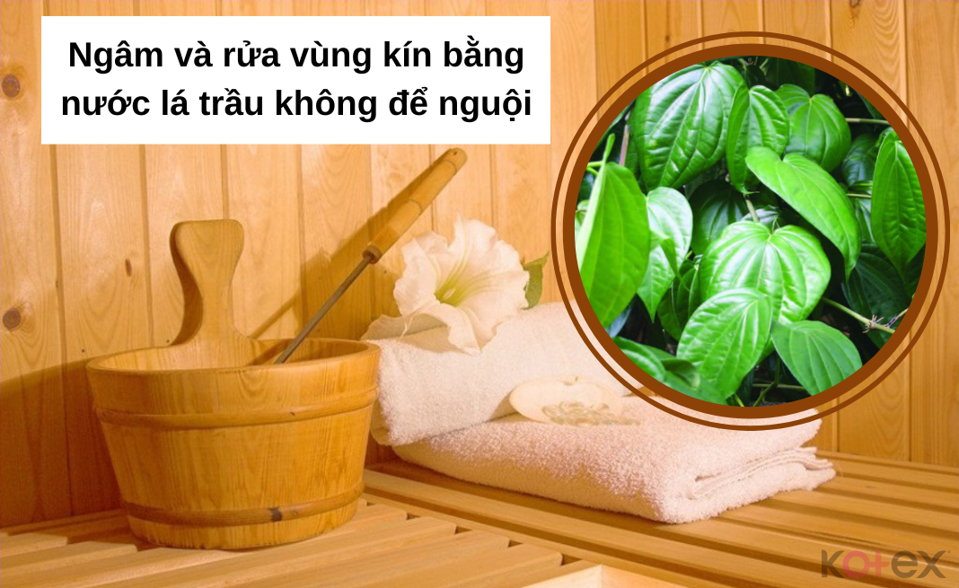 Ngâm và rửa vùng kín bằng nước lá trầu không để nguội 