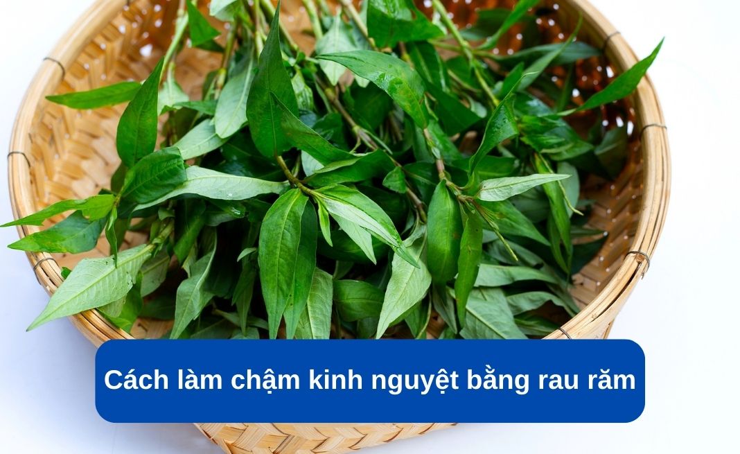 Cách làm chậm kinh nguyệt để đi du lịch bằng rau răm