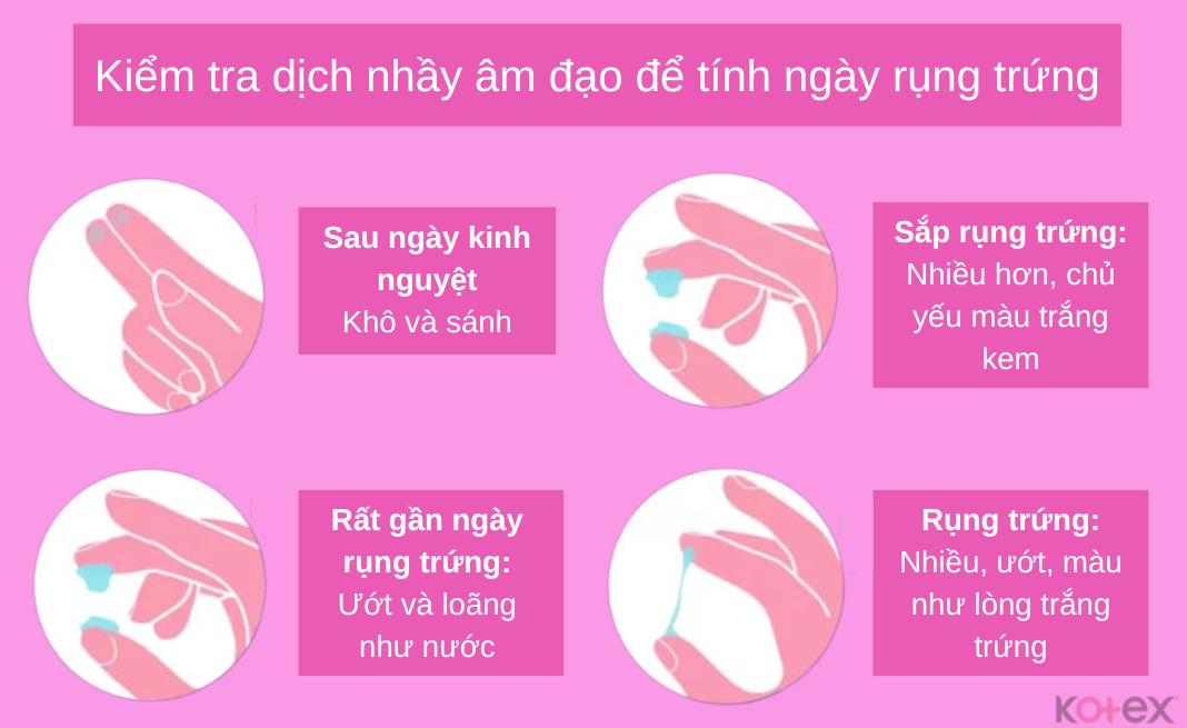 Kiểm tra dịch nhầy âm đạo để tính ngày rụng trứng