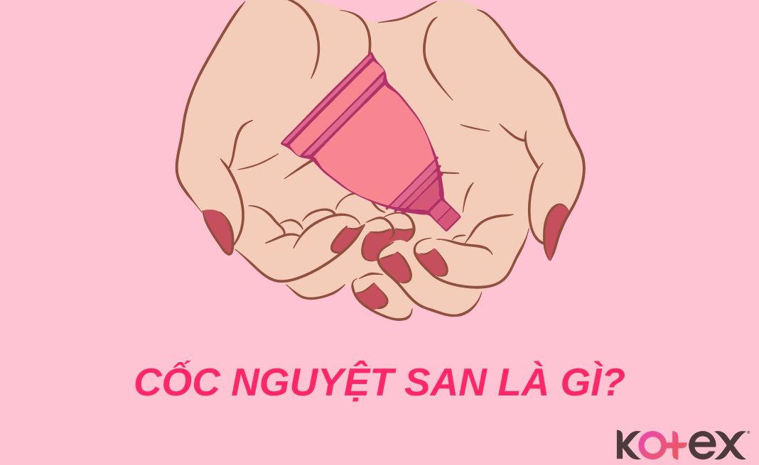 Cốc nguyệt san là gì?