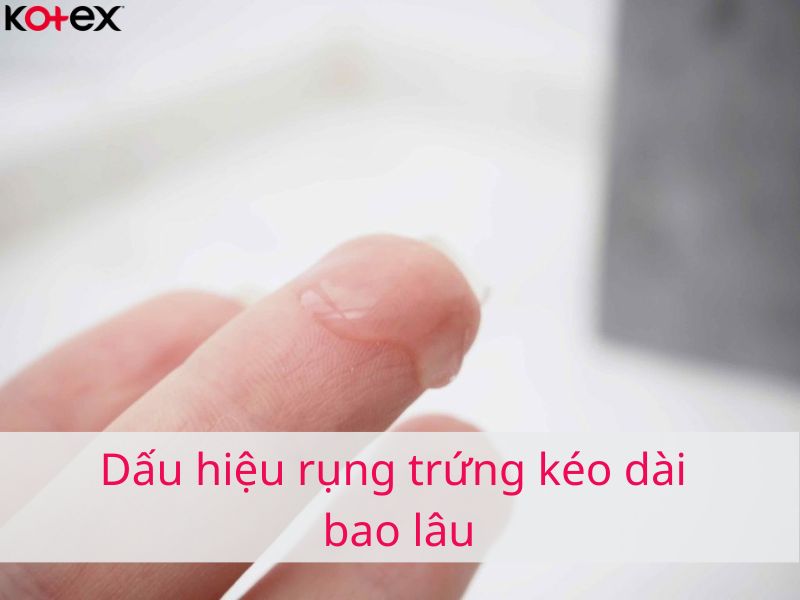 1. Tổng Quan Về Rụng Trứng