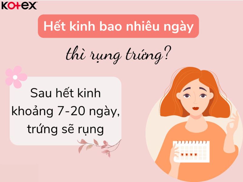 Hết kinh bao nhiêu ngày thì rụng trứng