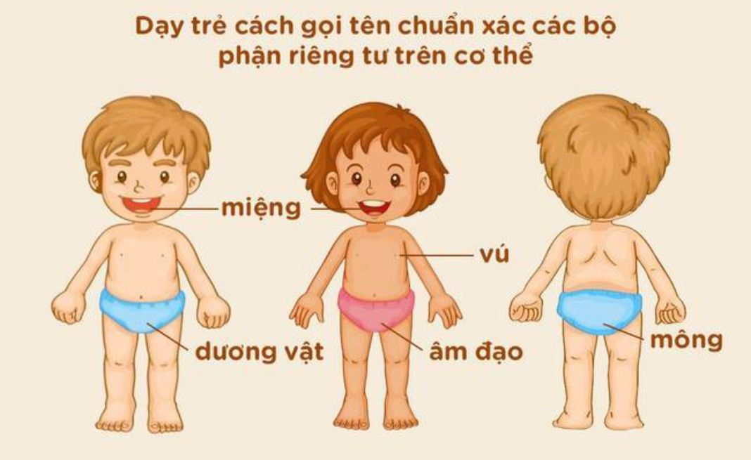 Hướng dẫn con nhận biết chính xác các bộ phận nhạy cảm trên cơ thể