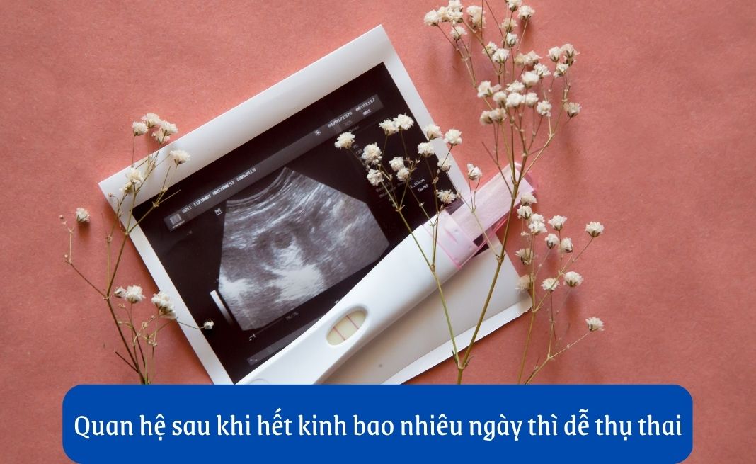 Quan hệ sau khi hết kinh bao nhiêu ngày thì dễ thụ thai