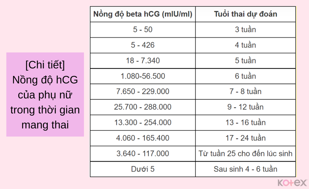 Nồng độ hCG của phụ nữ trong thời gian mang thai 