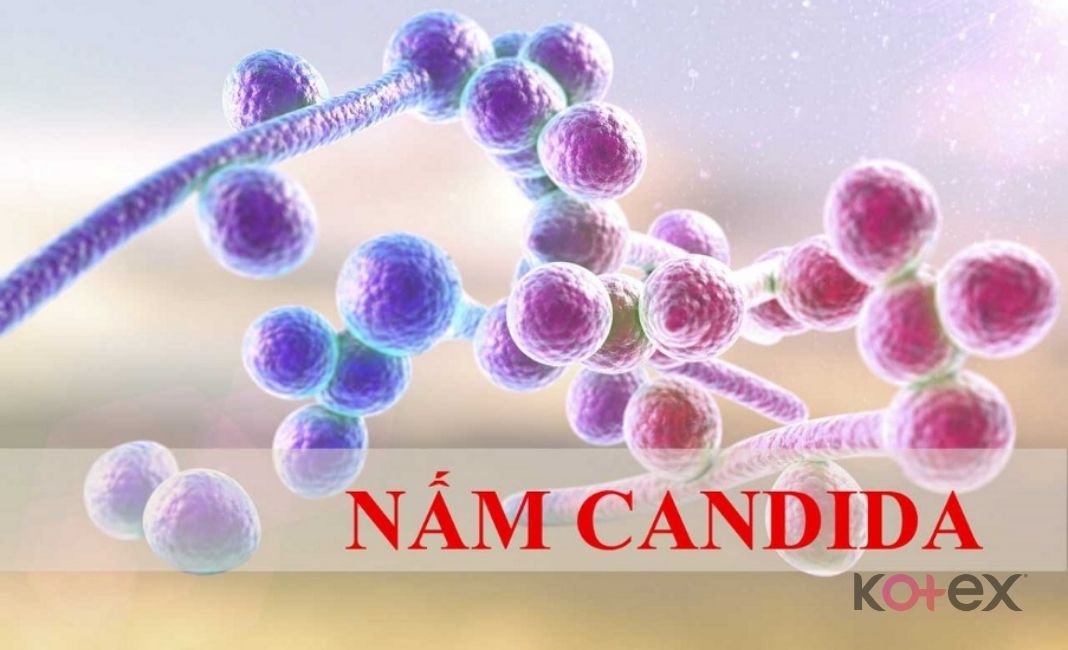 nhiễm nấm candida