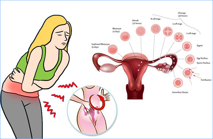 4. Các Phương Pháp Giảm Đau Bụng Kinh