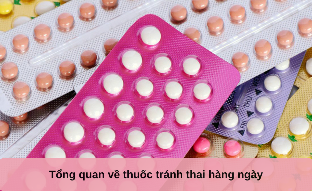 Tổng quan về thuốc tránh thai hàng ngày